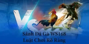 Cách Chơi Đá Gà WS168 Tại W88 Hướng Dẫn Chi Tiết Và Kinh Nghiệm Thắng Lớn