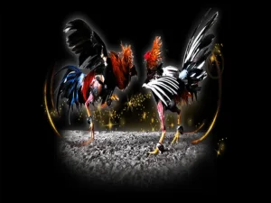 Cách Chơi Đá Gà Sabong Tại W88 Hiểu Luật Và Thắng Lớn Dễ Dàng