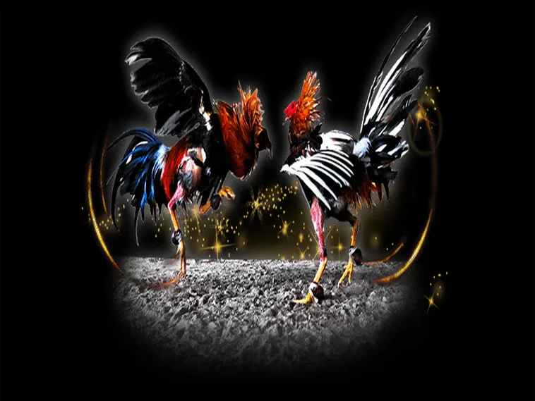 Cách Chơi Đá Gà Sabong Tại W88 Hiểu Luật Và Thắng Lớn Dễ Dàng