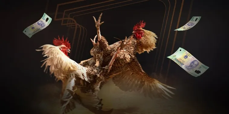 Trải Nghiệm Đá Gà W88 Đỉnh Cao Với Tỷ Lệ Cược Hấp Dẫn Và Uy Tín